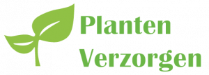 Planten verzorgen