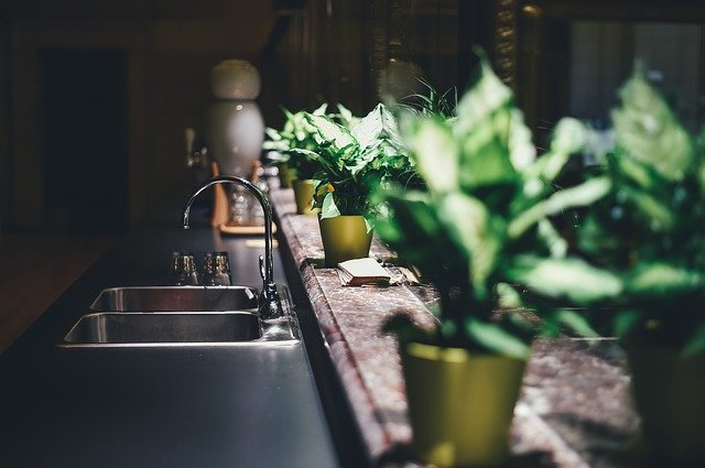 Nare geurtjes wegnemen met lekker ruikende kamerplanten ￼