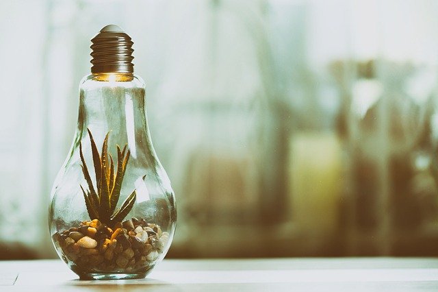 Plantenlamp: wat is het en hoe werkt het?